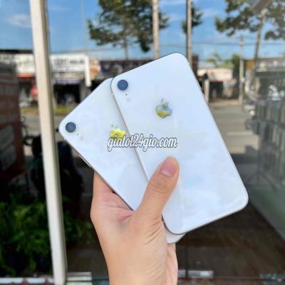Apple Iphone Xr - Đồng Tháp Iphone Xr Apple Iphone Xr - Đồng Tháp Iphone Xr