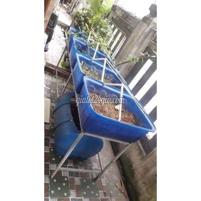 Cây Cảnh, Đồ Trang Trí Quận Liên Chiểu - Đà Nẵng Bộ Chậu Trồng Rau Bằng Nhựa Nguyến Sinh Rất Bền Cây Cảnh, Đồ Trang Trí Quận Liên Chiểu - Đà Nẵng Bộ Chậu Trồng Rau Bằng Nhựa Nguyến Sinh Rất Bền