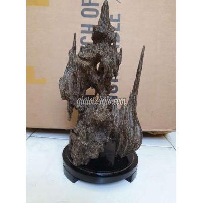 Cây Cảnh, Đồ Trang Trí Quận 4 - Hồ Chí Minh Trầm Hương Cảnh Phong Thủy Chìm Nước Cây Cảnh, Đồ Trang Trí Quận 4 - Hồ Chí Minh Trầm Hương Cảnh Phong Thủy Chìm Nước