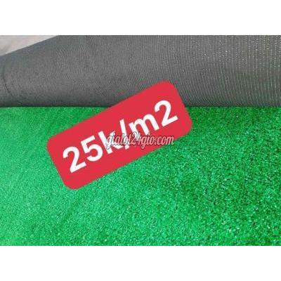 Cây Cảnh, Đồ Trang Trí Quận Tân Bình - Hồ Chí Minh Thảm Cỏ 20k, Cây Lá Cành 12k Sỉ Lẻ Ib Giá Siêu Tôt Cây Cảnh, Đồ Trang Trí Quận Tân Bình - Hồ Chí Minh Thảm Cỏ 20k, Cây Lá Cành 12k Sỉ Lẻ Ib Giá Siêu Tôt