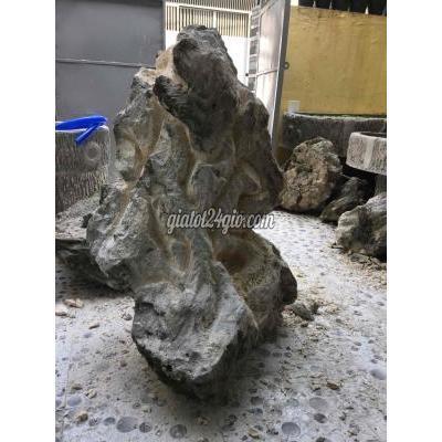 Cây Cảnh, Đồ Trang Trí Quận 3 - Hồ Chí Minh Cần Mua Đá San Hô Làm Hồ Non Bộ Cây Cảnh, Đồ Trang Trí Quận 3 - Hồ Chí Minh Cần Mua Đá San Hô Làm Hồ Non Bộ