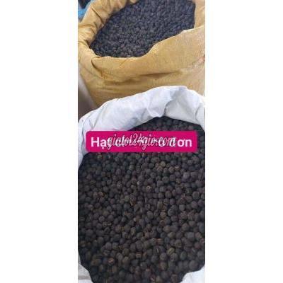 Đồ Ăn, Thực Phẩm Và Các Loại Huyện Hòa Vang - Đà Nẵng Hạt Chuối Đơn Côi Đồ Ăn, Thực Phẩm Và Các Loại Huyện Hòa Vang - Đà Nẵng Hạt Chuối Đơn Côi