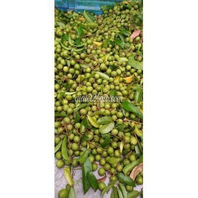 Đồ Ăn, Thực Phẩm Và Các Loại Quận Thanh Xuân - Hà Nội Can Ban Đồ Ăn, Thực Phẩm Và Các Loại Quận Thanh Xuân - Hà Nội Can Ban