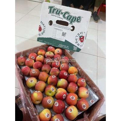 Đồ Ăn, Thực Phẩm Và Các Loại Quận Bắc Từ Liêm - Hà Nội Táo Trucape Đồ Ăn, Thực Phẩm Và Các Loại Quận Bắc Từ Liêm - Hà Nội Táo Trucape