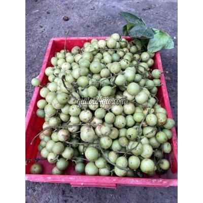 Đồ Ăn, Thực Phẩm Và Các Loại Thành Phố Thủ Đức - Hồ Chí Minh Dâu Xanh Đồ Ăn, Thực Phẩm Và Các Loại Thành Phố Thủ Đức - Hồ Chí Minh Dâu Xanh