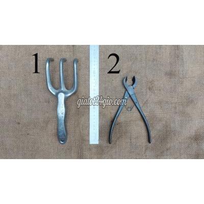 Đồ Chuyên Dụng, Giống Nuôi Trồng Quận Bình Thạnh - Hồ Chí Minh Cây Cào Rễ Cây & Cạp Xéo Japan Chơi Bonsai Đồ Chuyên Dụng, Giống Nuôi Trồng Quận Bình Thạnh - Hồ Chí Minh Cây Cào Rễ Cây & Cạp Xéo Japan Chơi Bonsai
