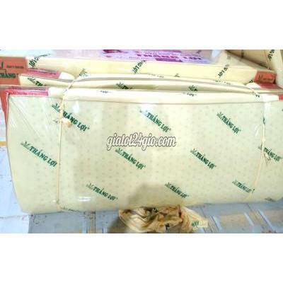 Giường, Chăn Ga Gối Nệm Quận 12 - Hồ Chí Minh Nệm Cao Su Non Thắng Lợi Quận 12 Hcm Giường, Chăn Ga Gối Nệm Quận 12 - Hồ Chí Minh Nệm Cao Su Non Thắng Lợi Quận 12 Hcm