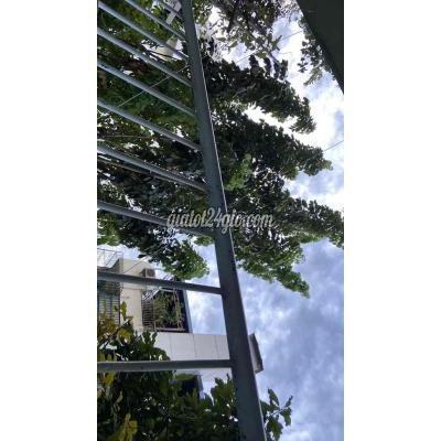 Linh Kiện (ram, Card...) Quận Tân Bình - Hồ Chí Minh Mua Xác Main Hư Hỏng Đời Xưa Linh Kiện (ram, Card...) Quận Tân Bình - Hồ Chí Minh Mua Xác Main Hư Hỏng Đời Xưa