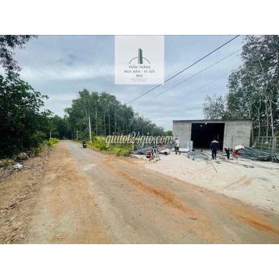 Mua Bán Đất Huyện Châu Đức - Vũng Tàu Đất Thích Hợp Trồng Cây Ăn Trái - Kdc - Đường 6m Mua Bán Đất Huyện Châu Đức - Vũng Tàu Đất Thích Hợp Trồng Cây Ăn Trái - Kdc - Đường 6m