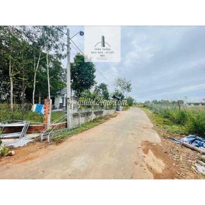 Mua Bán Đất Huyện Châu Đức - Vũng Tàu Đất Thích Hợp Trồng Cây Ăn Trái - Kdc - Đường 6m Mua Bán Đất Huyện Châu Đức - Vũng Tàu Đất Thích Hợp Trồng Cây Ăn Trái - Kdc - Đường 6m