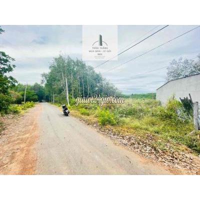 Mua Bán Đất Huyện Châu Đức - Vũng Tàu Đất Thích Hợp Trồng Cây Ăn Trái - Kdc - Đường 6m Mua Bán Đất Huyện Châu Đức - Vũng Tàu Đất Thích Hợp Trồng Cây Ăn Trái - Kdc - Đường 6m