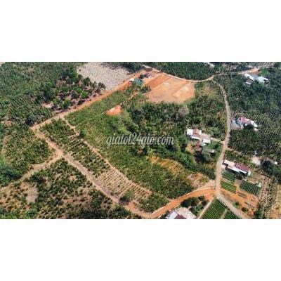 Mua Bán Đất Huyện Châu Đức - Vũng Tàu Đất Có Thổ Cư 40000m2 Láng Lớn- Bà Rịa. Mua Bán Đất Huyện Châu Đức - Vũng Tàu Đất Có Thổ Cư 40000m2 Láng Lớn- Bà Rịa.