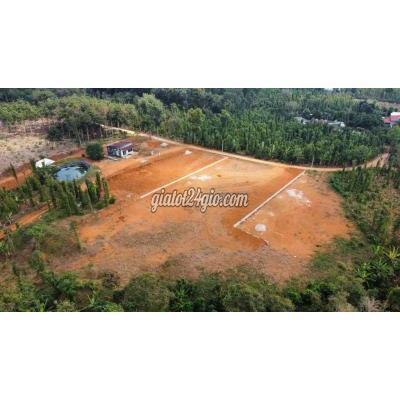 Mua Bán Đất Huyện Châu Đức - Vũng Tàu Đất Có Thổ Cư 40000m2 Láng Lớn- Bà Rịa. Mua Bán Đất Huyện Châu Đức - Vũng Tàu Đất Có Thổ Cư 40000m2 Láng Lớn- Bà Rịa.