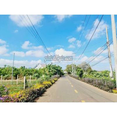 Mua Bán Đất Huyện Đất Đỏ - Vũng Tàu Đất Mặt Tiền Trịnh Hoài Đức Tt Đất Đỏ Brvt Dt 466m2 15x32 Có 60m2 Tc Mua Bán Đất Huyện Đất Đỏ - Vũng Tàu Đất Mặt Tiền Trịnh Hoài Đức Tt Đất Đỏ Brvt Dt 466m2 15x32 Có 60m2 Tc