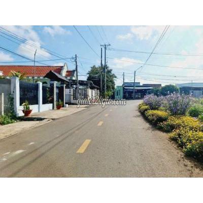 Mua Bán Đất Huyện Đất Đỏ - Vũng Tàu Đất Mặt Tiền Trịnh Hoài Đức Tt Đất Đỏ Brvt Dt 466m2 15x32 Có 60m2 Tc Mua Bán Đất Huyện Đất Đỏ - Vũng Tàu Đất Mặt Tiền Trịnh Hoài Đức Tt Đất Đỏ Brvt Dt 466m2 15x32 Có 60m2 Tc