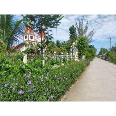 Mua Bán Đất Huyện Giồng Trôm - Bến Tre Bán Gấp Trả Nợ Ngân Hàng Mua Bán Đất Huyện Giồng Trôm - Bến Tre Bán Gấp Trả Nợ Ngân Hàng
