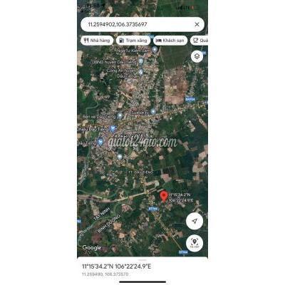 Mua Bán Đất Huyện Dầu Tiếng - Bình Dương Bán Gấp Lô Góc 2mt Đường Nhựa Tt Dầu Tiếng 980tr Mua Bán Đất Huyện Dầu Tiếng - Bình Dương Bán Gấp Lô Góc 2mt Đường Nhựa Tt Dầu Tiếng 980tr