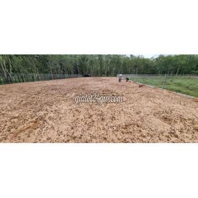 Mua Bán Đất Huyện Dầu Tiếng - Bình Dương Bán Cắt Lỗ Đất Khu Phố 5 Thị Trấn Dầu Tiếng. Mua Bán Đất Huyện Dầu Tiếng - Bình Dương Bán Cắt Lỗ Đất Khu Phố 5 Thị Trấn Dầu Tiếng.