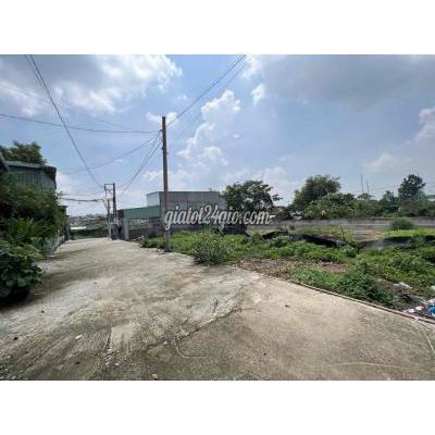 Mua Bán Đất Thành Phố Dĩ An - Bình Dương 3 Lô Đất Phường Tân Bình Thành Phố Dĩ An Mua Bán Đất Thành Phố Dĩ An - Bình Dương 3 Lô Đất Phường Tân Bình Thành Phố Dĩ An