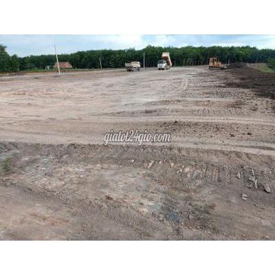 Mua Bán Đất Huyện Chơn Thành - Bình Phước 5 Sổ (25x50=1225) 500m Thổ Cư 520tr Đối Diện Chợ. Mua Bán Đất Huyện Chơn Thành - Bình Phước 5 Sổ (25x50=1225) 500m Thổ Cư 520tr Đối Diện Chợ.