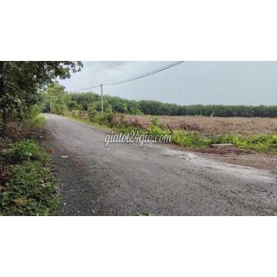 Mua Bán Đất Huyện Chơn Thành - Bình Phước Mặt Tiền Đường Nhựa, 25x46= 1126m2 Ngay Chợ Mua Bán Đất Huyện Chơn Thành - Bình Phước Mặt Tiền Đường Nhựa, 25x46= 1126m2 Ngay Chợ