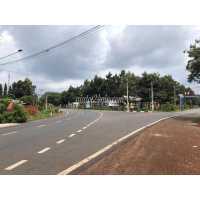 Mua Bán Đất Huyện Chơn Thành - Bình Phước Mặt Tiền Đường Nhựa, 25x46= 1126m2 Ngay Chợ Mua Bán Đất Huyện Chơn Thành - Bình Phước Mặt Tiền Đường Nhựa, 25x46= 1126m2 Ngay Chợ