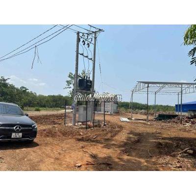 Mua Bán Đất Huyện Phú Riềng - Bình Phước Cần Bán Gấp Mua Bán Đất Huyện Phú Riềng - Bình Phước Cần Bán Gấp