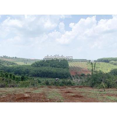 Mua Bán Đất Huyện Đồng Phú - Bình Phước Đất View Đồi Cực Đẹp Giá Rẻ 1 Sào /1009m2 Mua Bán Đất Huyện Đồng Phú - Bình Phước Đất View Đồi Cực Đẹp Giá Rẻ 1 Sào /1009m2
