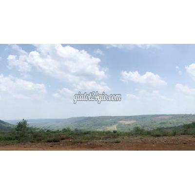 Mua Bán Đất Huyện Đồng Phú - Bình Phước Đất View Đồi Cực Đẹp Giá Rẻ 1 Sào /1009m2 Mua Bán Đất Huyện Đồng Phú - Bình Phước Đất View Đồi Cực Đẹp Giá Rẻ 1 Sào /1009m2