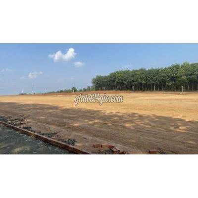 Mua Bán Đất Huyện Bù Đăng - Bình Phước Đất Đầu Tư View Sống Sổ Hồng Riêng - Hình Ảnh Thực Tế Mua Bán Đất Huyện Bù Đăng - Bình Phước Đất Đầu Tư View Sống Sổ Hồng Riêng - Hình Ảnh Thực Tế