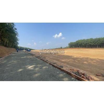 Mua Bán Đất Huyện Bù Đăng - Bình Phước Đất Đầu Tư View Sống Sổ Hồng Riêng - Hình Ảnh Thực Tế Mua Bán Đất Huyện Bù Đăng - Bình Phước Đất Đầu Tư View Sống Sổ Hồng Riêng - Hình Ảnh Thực Tế