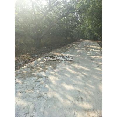 Mua Bán Đất Huyện Hớn Quản - Bình Phước Bán Đất Vườn Hớn Quản, Bình Phước Mua Bán Đất Huyện Hớn Quản - Bình Phước Bán Đất Vườn Hớn Quản, Bình Phước
