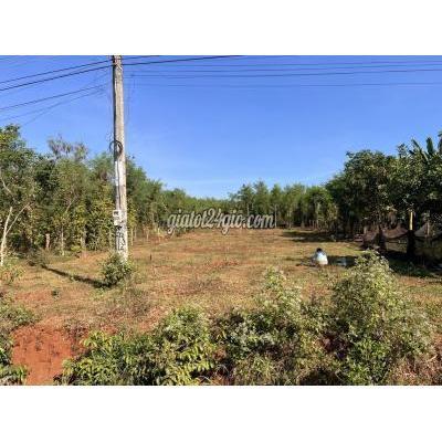 Mua Bán Đất Huyện Bù Đốp - Bình Phước Chính Chủ Bán Lô Đất Bình Phước Mua Bán Đất Huyện Bù Đốp - Bình Phước Chính Chủ Bán Lô Đất Bình Phước