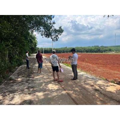 Mua Bán Đất Huyện Hớn Quản - Bình Phước Đất Trung Tâm Xã 260m Có 100m Thổ Cư Đường Bê Tông, Gan Kcn Mua Bán Đất Huyện Hớn Quản - Bình Phước Đất Trung Tâm Xã 260m Có 100m Thổ Cư Đường Bê Tông, Gan Kcn