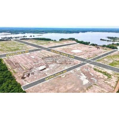 Mua Bán Đất Huyện Hớn Quản - Bình Phước Đất Bình Phước Hồ Sinh Thái Chỉ 90tr Sở Hữu 1000m2 , Sổ Sẵn Ký Ngay Mua Bán Đất Huyện Hớn Quản - Bình Phước Đất Bình Phước Hồ Sinh Thái Chỉ 90tr Sở Hữu 1000m2 , Sổ Sẵn Ký Ngay