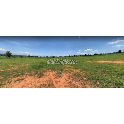 Mua Bán Đất Huyện Bắc Bình - Bình Thuận 3ha Đất Bắc Bình - Hòa Thắng Giá Siêu Đầu Tư 2 Mt. Mua Bán Đất Huyện Bắc Bình - Bình Thuận 3ha Đất Bắc Bình - Hòa Thắng Giá Siêu Đầu Tư 2 Mt.
