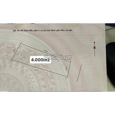 Mua Bán Đất Huyện Bắc Bình - Bình Thuận Sổ Đẹp Chủ Kẹt Tiền Cần Bán 4000m2 Chỉ 660 Triệu Mua Bán Đất Huyện Bắc Bình - Bình Thuận Sổ Đẹp Chủ Kẹt Tiền Cần Bán 4000m2 Chỉ 660 Triệu