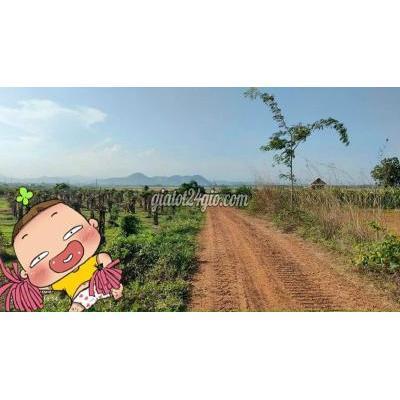 Mua Bán Đất Huyện Bắc Bình - Bình Thuận Sổ Đẹp Chủ Kẹt Tiền Cần Bán 4000m2 Chỉ 660 Triệu Mua Bán Đất Huyện Bắc Bình - Bình Thuận Sổ Đẹp Chủ Kẹt Tiền Cần Bán 4000m2 Chỉ 660 Triệu