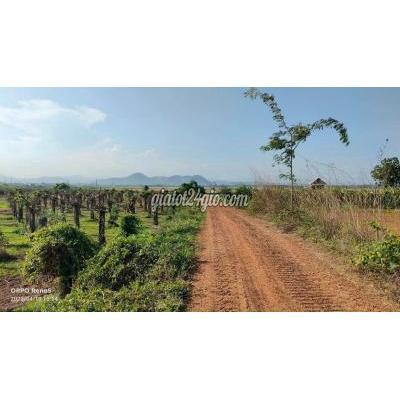 Mua Bán Đất Huyện Bắc Bình - Bình Thuận Gấp Bán Đất Gần Biển Phan Rí, 2490m² Đường Trên Sổ, Giá Chỉ 350 Triệu Mua Bán Đất Huyện Bắc Bình - Bình Thuận Gấp Bán Đất Gần Biển Phan Rí, 2490m² Đường Trên Sổ, Giá Chỉ 350 Triệu