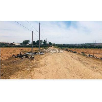 Mua Bán Đất Huyện Bắc Bình - Bình Thuận Chính Chủ Cần Bán Lô Đất 8074m2 Giá 682tr Mặt Tiền Liên Huyện Mua Bán Đất Huyện Bắc Bình - Bình Thuận Chính Chủ Cần Bán Lô Đất 8074m2 Giá 682tr Mặt Tiền Liên Huyện