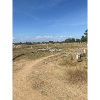 Mua Bán Đất Huyện Hàm Thuận Bắc - Bình Thuận Bán Đất Vườn Hồng Liêm 289tr Đường Ô Tô Gần Ql1a Mua Bán Đất Huyện Hàm Thuận Bắc - Bình Thuận Bán Đất Vườn Hồng Liêm 289tr Đường Ô Tô Gần Ql1a