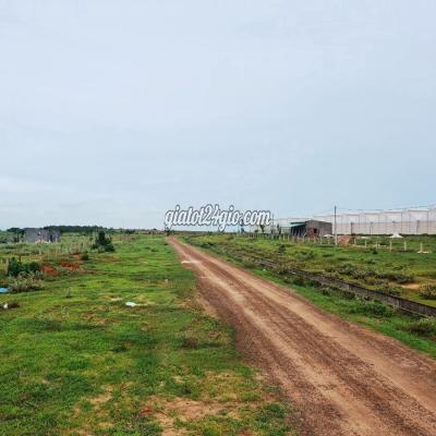 Mua Bán Đất Huyện Bắc Bình - Bình Thuận Cần Tiền Bán Lô Đất 2mt Liên Huyện, Chỉ 640tr Mua Bán Đất Huyện Bắc Bình - Bình Thuận Cần Tiền Bán Lô Đất 2mt Liên Huyện, Chỉ 640tr