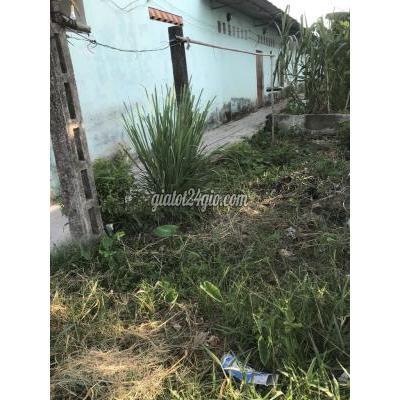 Mua Bán Đất Thành Phố Cà Mau - Cà Mau Bán Đất Dự Án Đường Số 1 Cống Hội Đồng Nguyên P8 Tp Cà Mau Mua Bán Đất Thành Phố Cà Mau - Cà Mau Bán Đất Dự Án Đường Số 1 Cống Hội Đồng Nguyên P8 Tp Cà Mau