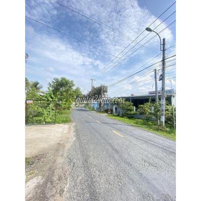 Mua Bán Đất Huyện Phong Điền - Cần Thơ 4x38=149m2 Dãy Trọ Thu Nhập 20tr Giá 2,8tỷ Đất Thổ Cư Đường Bông Vang Mua Bán Đất Huyện Phong Điền - Cần Thơ 4x38=149m2 Dãy Trọ Thu Nhập 20tr Giá 2,8tỷ Đất Thổ Cư Đường Bông Vang
