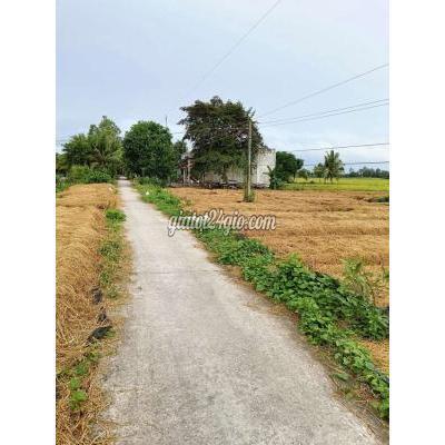Mua Bán Đất Huyện Thới Lai - Cần Thơ Đất Thổ Cư Đầu Tư Mua Bán Đất Huyện Thới Lai - Cần Thơ Đất Thổ Cư Đầu Tư