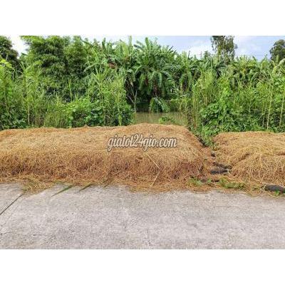 Mua Bán Đất Huyện Thới Lai - Cần Thơ Đất Thổ Cư Đầu Tư Mua Bán Đất Huyện Thới Lai - Cần Thơ Đất Thổ Cư Đầu Tư
