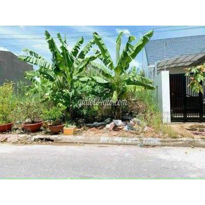 Mua Bán Đất Quận Cái Răng - Cần Thơ Nền Đường C5, Khu Dân Cư Phú An, Cái Răng, Tp. Cần Thơ Mua Bán Đất Quận Cái Răng - Cần Thơ Nền Đường C5, Khu Dân Cư Phú An, Cái Răng, Tp. Cần Thơ