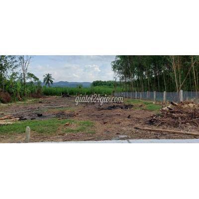 Mua Bán Đất Huyện Hòa Vang - Đà Nẵng Đất Xây Nhà Vườn 500m2 Có 150m2 Đất Ở Vuông Vắn Mua Bán Đất Huyện Hòa Vang - Đà Nẵng Đất Xây Nhà Vườn 500m2 Có 150m2 Đất Ở Vuông Vắn