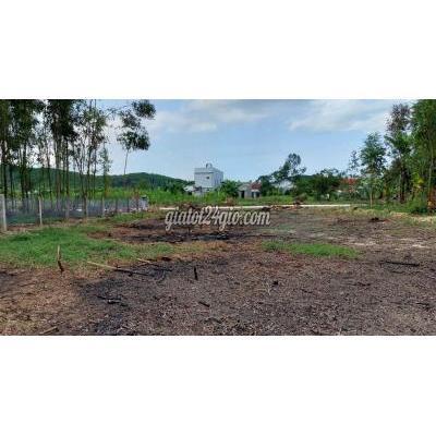 Mua Bán Đất Huyện Hòa Vang - Đà Nẵng Đất Xây Nhà Vườn 500m2 Có 150m2 Đất Ở Vuông Vắn Mua Bán Đất Huyện Hòa Vang - Đà Nẵng Đất Xây Nhà Vườn 500m2 Có 150m2 Đất Ở Vuông Vắn