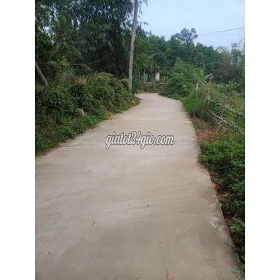 Mua Bán Đất Huyện Hòa Vang - Đà Nẵng Sụp Hầm Đất Vườn 3 Mặt Tiền Dân Ở Đông 442m2 Giâ Đầu Tư 270tr Mua Bán Đất Huyện Hòa Vang - Đà Nẵng Sụp Hầm Đất Vườn 3 Mặt Tiền Dân Ở Đông 442m2 Giâ Đầu Tư 270tr